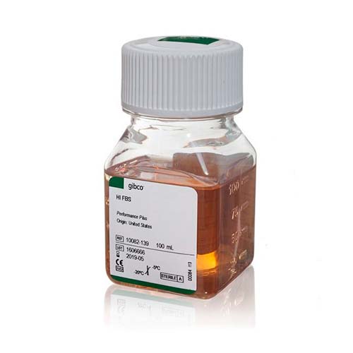 12362.SUERO FETAL BOVINO CALIFICADO, HEAT INACTIVATED, US ORIGEN, 100ML - GIBCO