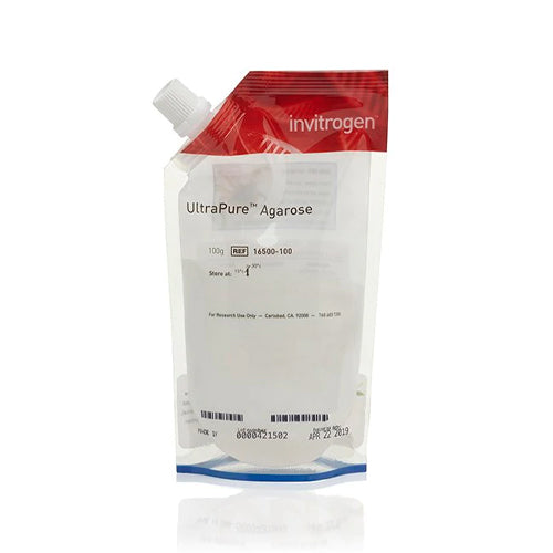 50772. AGAROSA ULTRAPURE 100GR - INVITROGEN