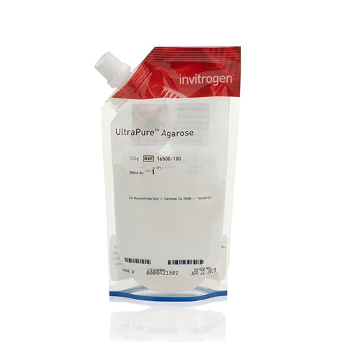3165. AGAROSA ULTRAPURA 500GR PARA ELECTROFORESIS DE ACIDOS NUCLEICOS EN GELES - INVITROGEN