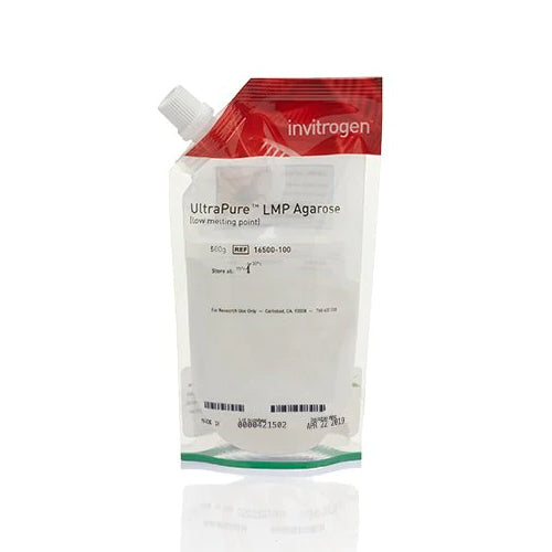 3640. AGAROSA DE PUNTO DE FUSION BAJO ULTRAPURE 100GR - INVITROGEN