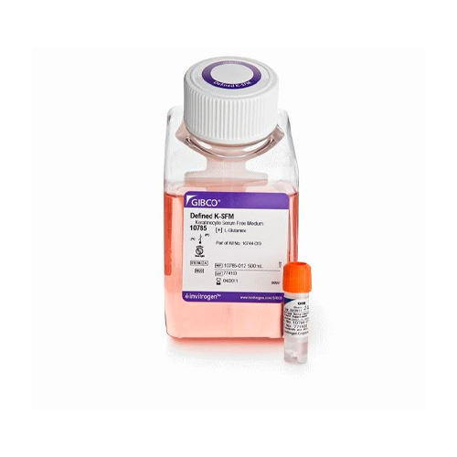 53760. KERATINOCYTE SFM (1X) 500ML - GIBCO
