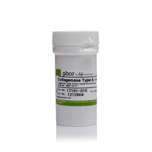 4851. COLAGENASA TIPO II EN POLVO 1GR - GIBCO
