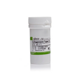 17998. COLAGENASA TIPO IV 1GR - GIBCO