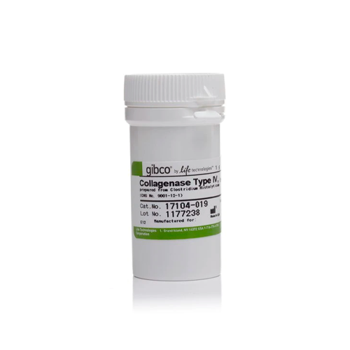 17998. COLAGENASA TIPO IV 1GR - GIBCO