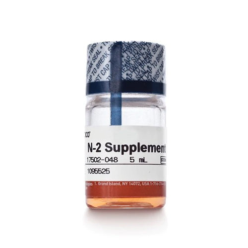 53440. N-2 SUPPLEMENT (100X) 5ML - GIBCO