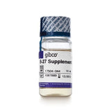 53438. B-27 SUPPLEMENT (50X), SERUM FREE 10ML - GIBCO