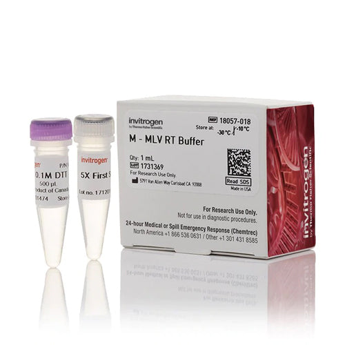 53511. SOLUCION BUFFER DE TRANSCRIPTASA INVERSA M-MLV 1ML - INVITROGEN