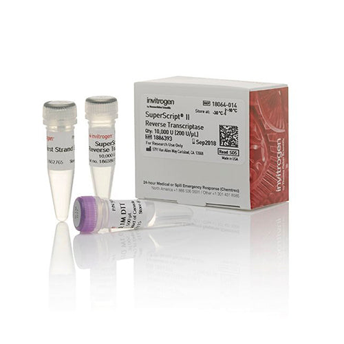11287.SUPERSCRIPT II TRANSCRIPTASA REVERSA 10,000 UNIDADES - INVITROGEN