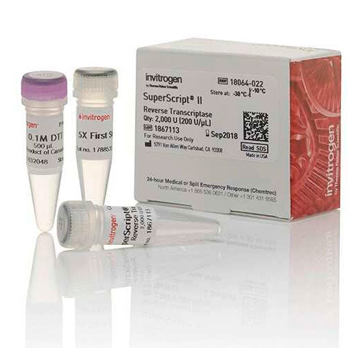 26801. TRANSCRIPTASA INVERSA SUPERSCRIPT II 2000U INVITROGEN