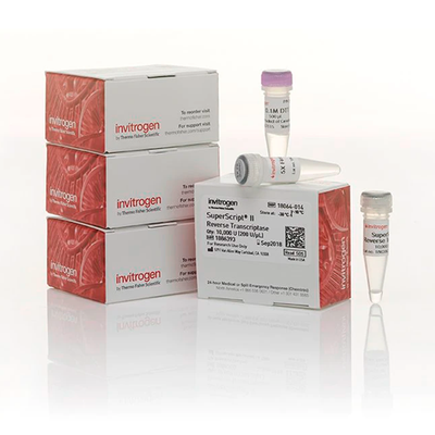55460. TRANSCRIPTASA INVERSA SUPERSCRIPT II  4 X 10,000U -INVITROGEN