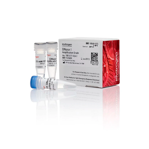 19795. DNASE I, AMPLIFICATION GRADE 100 UNITS - INVITROGEN