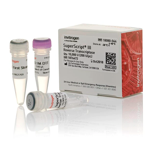6384. TRANSCRIPTASA INVERSA SUPERSCRIPT III 10,000 UNIDADES -  INVITROGEN