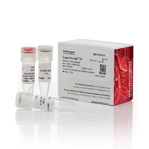 53586. TRANSCRIPTASA INVERSA SUPERSCRIPT IV 10000U - INVITROGEN