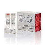 53585. TRANSCRIPTASA INVERSA SUPERSCRIPT IV 4 X 10000U - INVITROGEN