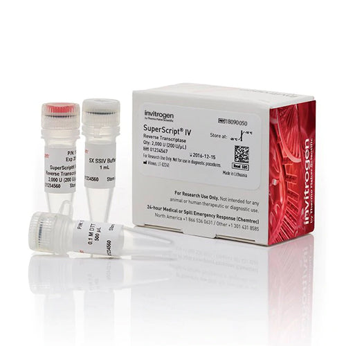 53585. TRANSCRIPTASA INVERSA SUPERSCRIPT IV 4 X 10000U - INVITROGEN