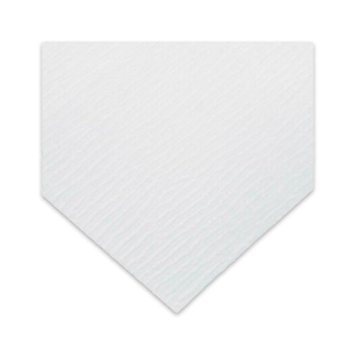 6984. PAPEL MICROFIBRA DE VIDRIO GF/B 46X57CM C/25 WHATMAN