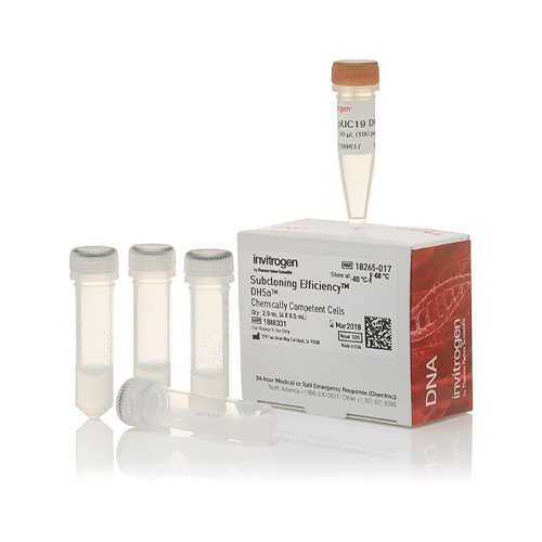 18436. SUBCLONING EFFICIENCY DH5A COMPETENT CELLS 4 X 500UL - INVITROGEN