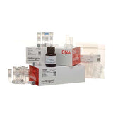 55713.5' RACE SYSTEM FOR RAPID AMPLIFICATION OF CDNA ENDS, VERSION 2.0, 10 REACTIONS - INVITROGEN