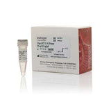 21881. OLIGO (DT) 12-18 CEBADOR 25UG - INVITROGEN