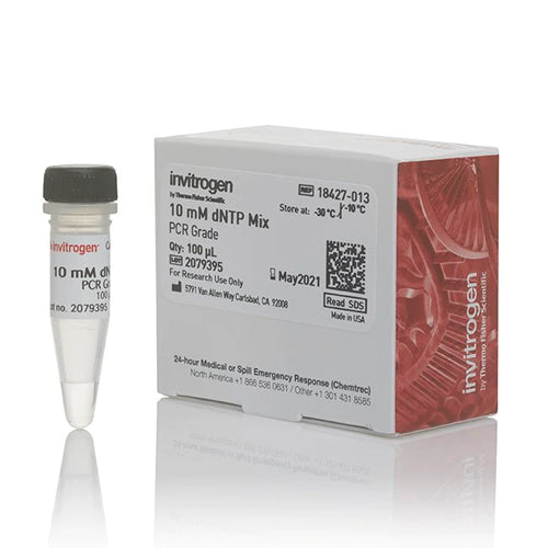 3595. DNTP MIX (10 MM EA) 100UL - INVITROGEN