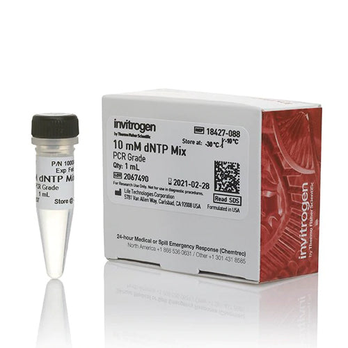 3596. DNTP MIX (10 MM EA) 1ML - INVITROGEN