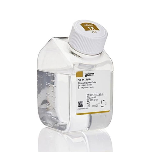 53437. PBS (SOLUCION SALINA TAMPONADA CON FOSFATO) PH 7.2 500ML - GIBCO