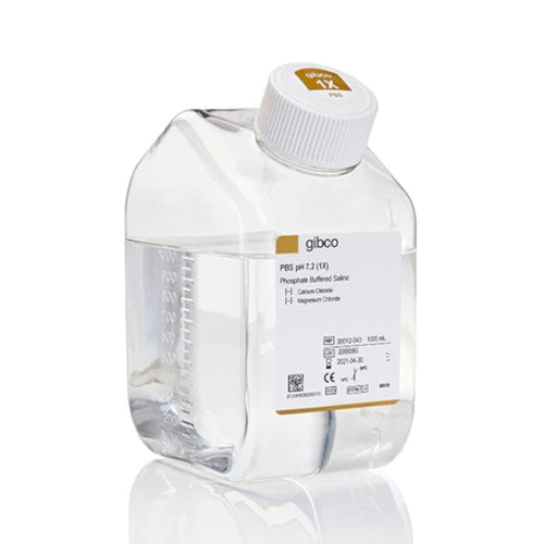53436. PBS (SOLUCION SALINA TAMPONADA CON FOSFATO) PH 7.2  1LT - GIBCO