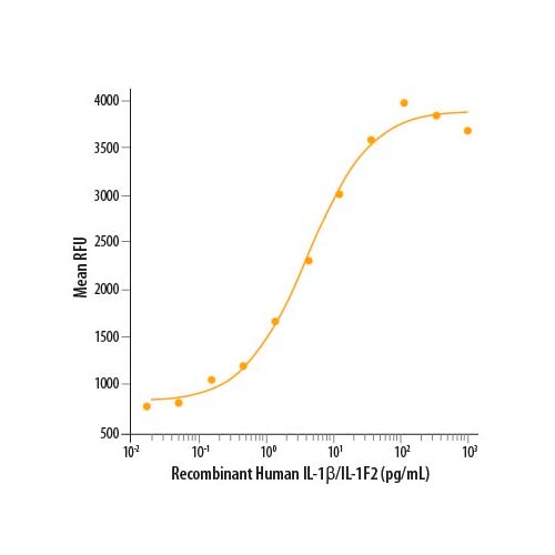 15847. RECOMBINANT HUMAN IL-1 BETA/IL-1F2 PROTEIN 10UG - R&D SYSTEMS