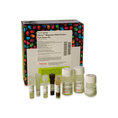 53376. MAGNETIC RNA-PROTEIN PULL-DOWN KIT - PIERCE