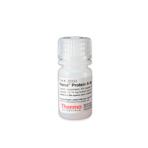 53291. PROTEIN A AGAROSE 5ML  - PIERCE