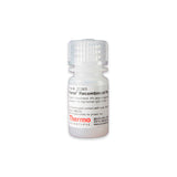 53164. RECOMBINANT PROTEIN A AGAROSE 5ML - PIERCE