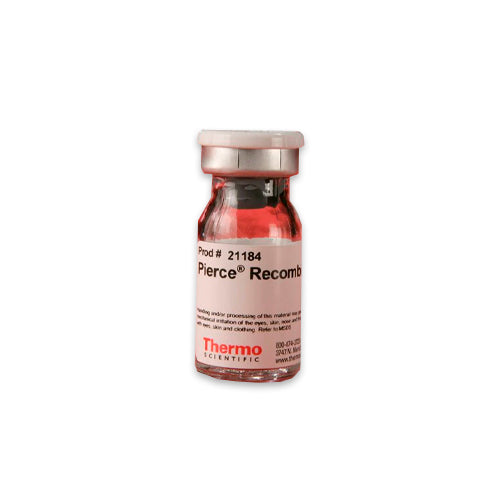 53137. PROTEINA A RECOMBINANTE 5MG - PIERCE