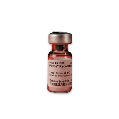 53135. PROTEINA L RECOMBINANTE 1MG - PIERCE