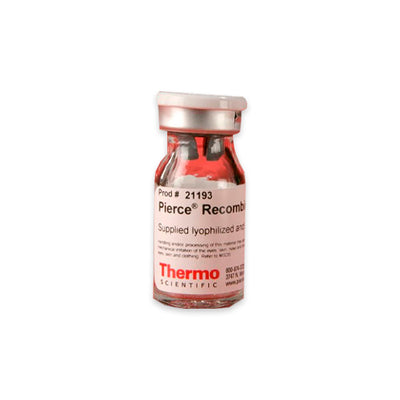 53101. RECOMBINANT PROTEIN G 5MG - PIERCE