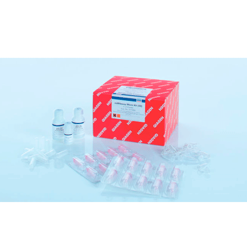 53934. MICRO KIT MIRNEASY 50 PREPARACIONES QIAGEN