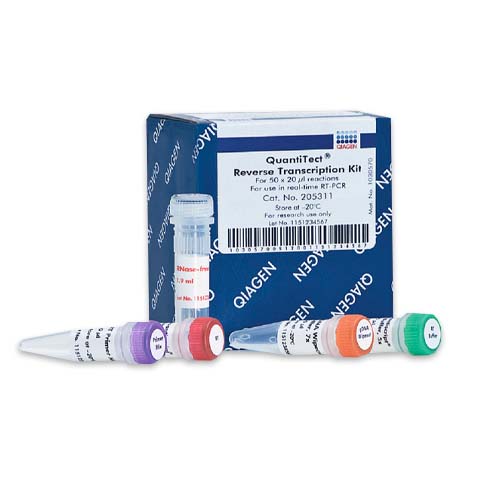 15477. KIT P/TRANSCRIPCION REVERSA DE ARN TOTAL 50 REACCIONES - QIAGEN