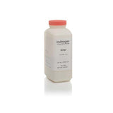 15771. AGAR LB (LENNOX) POLVO 500GR - INVITROGEN