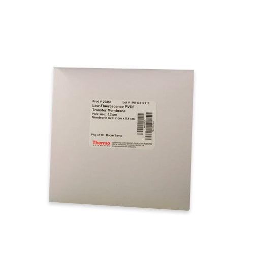 10322. LOW-FLUORESCENSE PVDF TRANSFER MEMBRANE 0.2UM, 7 X 8.4CM - PIERCE