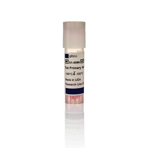 53759. LAMININ MOUSE PROTEIN NATURAL 1MG - GIBCO
