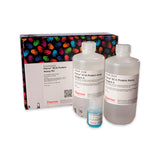 53280. BCA PROTEIN ASSAY REAGENT A 1LT  - PIERCE