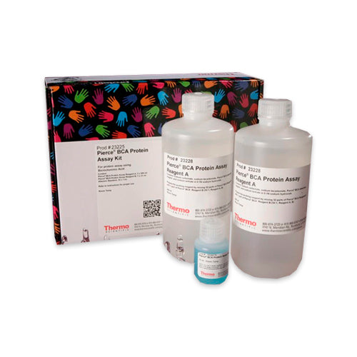 10119. BCA PROTEIN ASSAY REAGENT A 1LT  - PIERCE