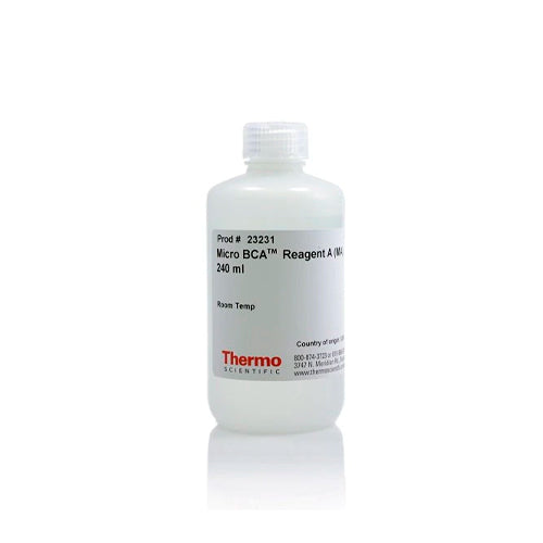 10125. MICRO BCA REAGENT A (MA) 240ML - PIERCE