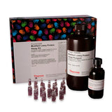 53077. MODIFIED LOWRY PROTEIN ASSAY KIT 530ML - PIERCE
