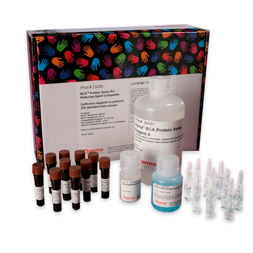 10331. BCA PROTEIN ASSAY KIT REDUCING AGENT COMPATIBLE 275ML - PIERCE