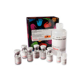 53271. GLYCOPROTEIN CARBOHYDRATE ESTIMATION KIT 500MG - PIERCE