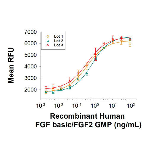 26633. RECOMBINANT HUMAN FGF BASIC (146 AA) GMP PROTEIN, CF 25UG  R&D SYSTEMS