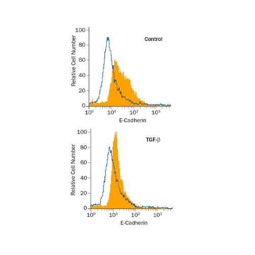 18206. RECOMBINANT HUMAN TGF-BETA 1 PROTEIN 2UG - R&D SYSTEMS