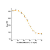 55959. RECOMBINANT HUMAN TGF-BETA 1 PROTEIN 10UG - R&D SYSTEMS