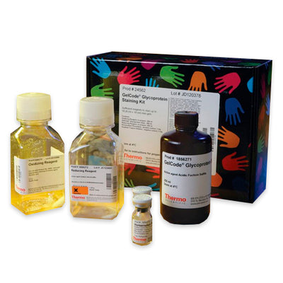 52989. GLYCOPROTEIN STAINING KIT 750ML - PIERCE