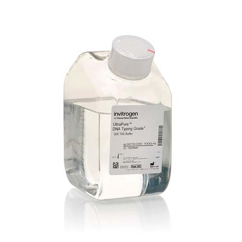 12143. ULTRAPURE DNA TYPING GRADE, 50X TAE BUFFER, 1LT - INVITROGEN